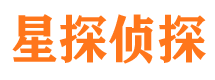 灵寿侦探公司